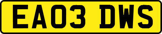 EA03DWS