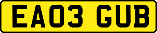 EA03GUB