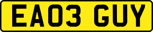EA03GUY