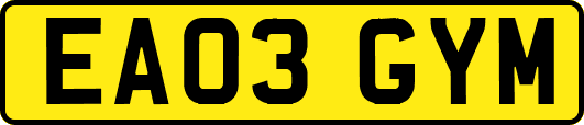 EA03GYM