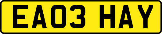 EA03HAY