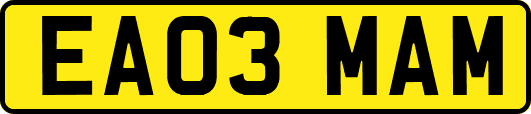 EA03MAM