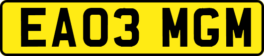 EA03MGM