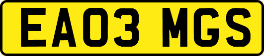 EA03MGS