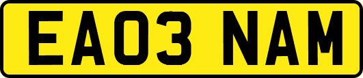 EA03NAM
