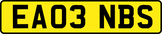 EA03NBS