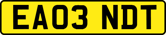 EA03NDT