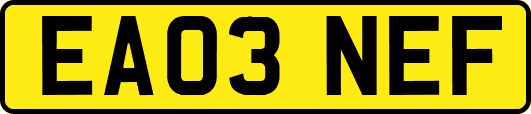 EA03NEF
