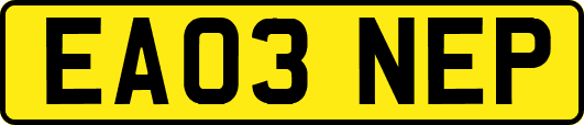 EA03NEP