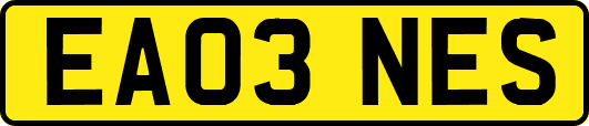 EA03NES
