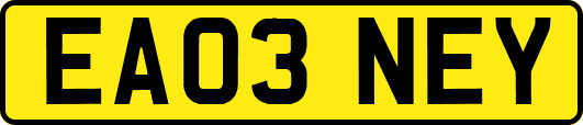 EA03NEY