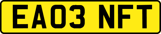 EA03NFT