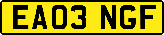 EA03NGF