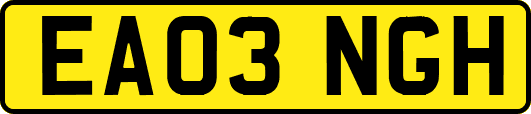 EA03NGH