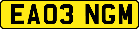 EA03NGM