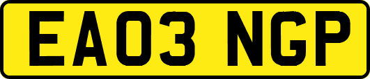 EA03NGP