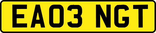 EA03NGT