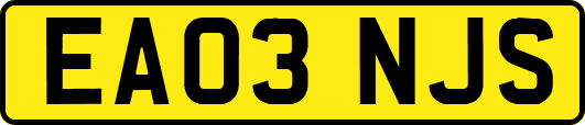 EA03NJS