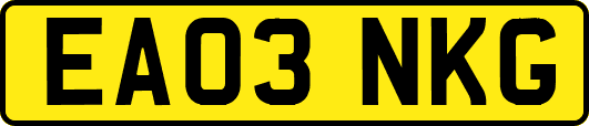 EA03NKG