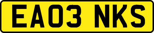 EA03NKS