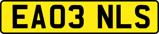 EA03NLS