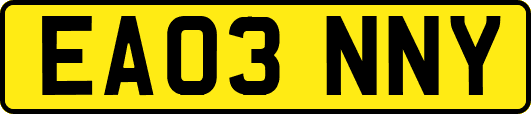 EA03NNY