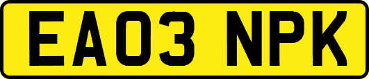 EA03NPK