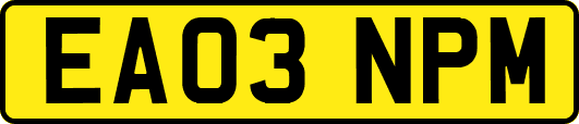 EA03NPM
