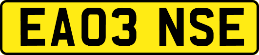 EA03NSE