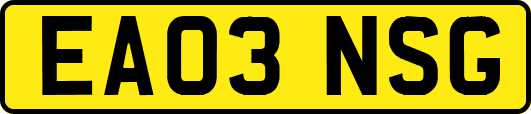 EA03NSG