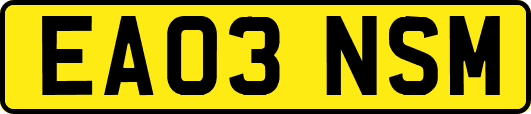 EA03NSM