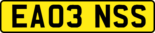 EA03NSS