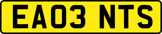 EA03NTS