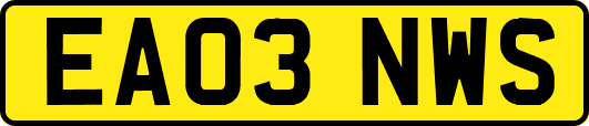 EA03NWS