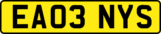 EA03NYS