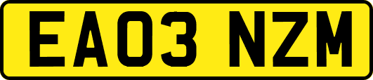 EA03NZM