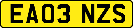EA03NZS