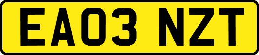 EA03NZT