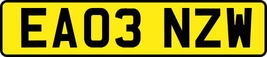 EA03NZW