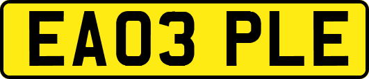 EA03PLE