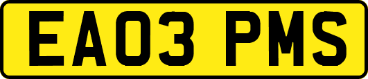 EA03PMS