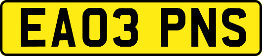 EA03PNS