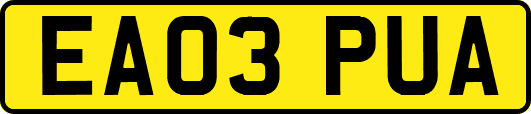 EA03PUA