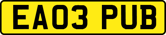 EA03PUB