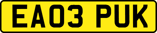 EA03PUK