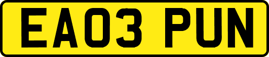 EA03PUN