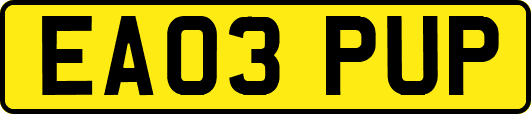 EA03PUP
