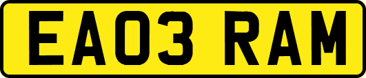 EA03RAM