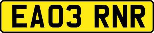 EA03RNR
