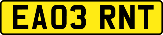 EA03RNT